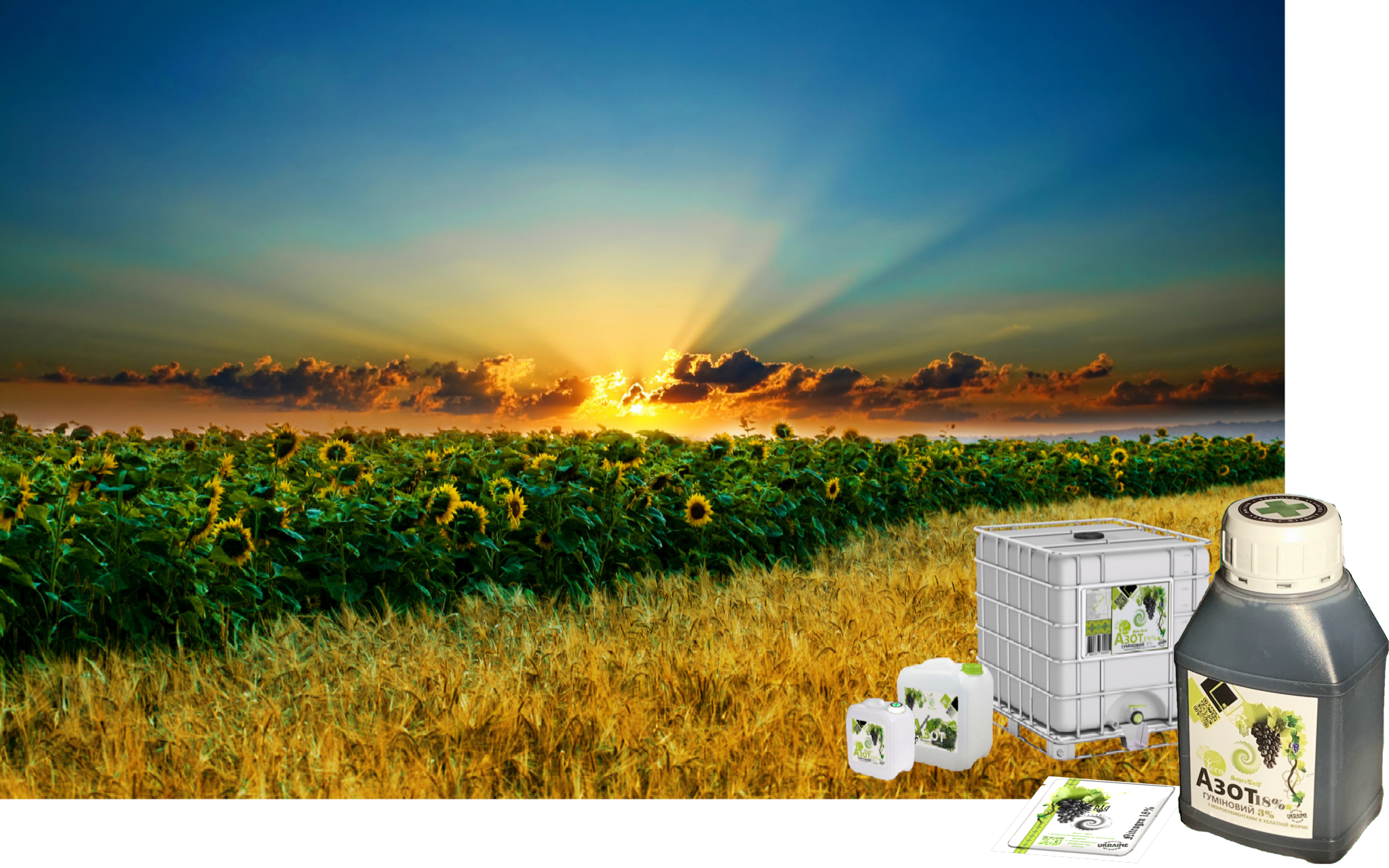 SaproTech®LLC 2024